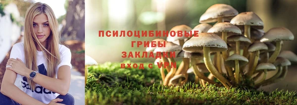 a pvp Алексин