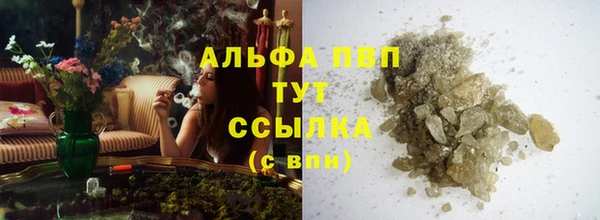 прущие грибы Алексеевка