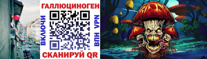 нарко площадка наркотические препараты  Пыталово  Галлюциногенные грибы Psilocybine cubensis 